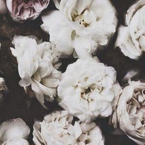 Meet your Posher, Osaro